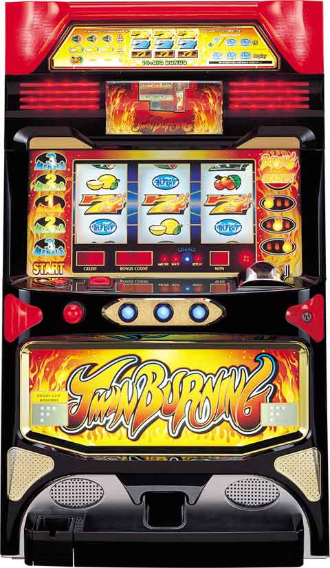 ツインバーニング