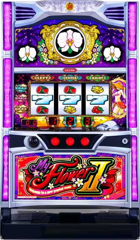 マイフラワー２‐３０