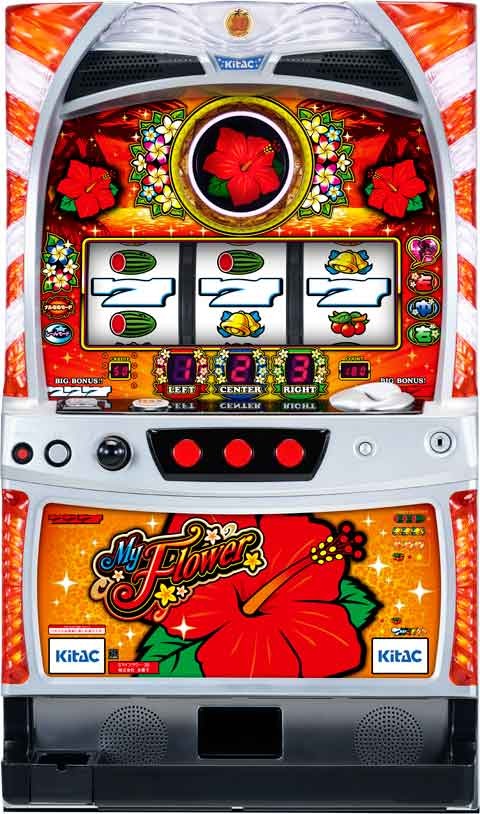 マイフラワー３０