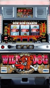 ワイルドドッグ